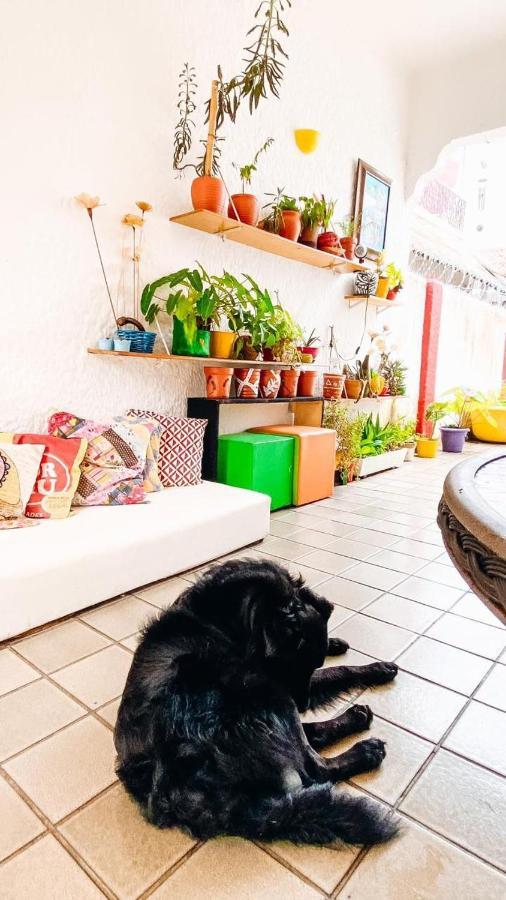 Zili Pernambuco - Hostel Pousada Recife Ngoại thất bức ảnh