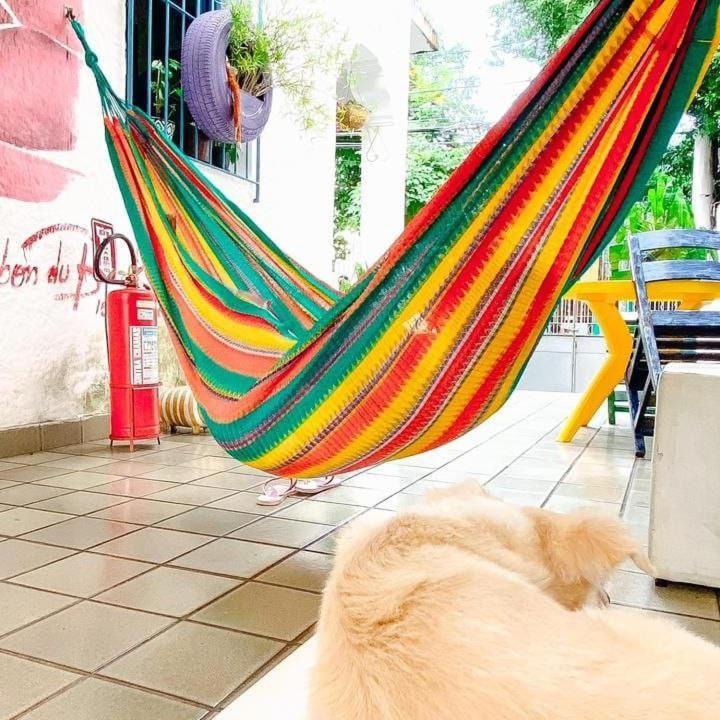 Zili Pernambuco - Hostel Pousada Recife Ngoại thất bức ảnh
